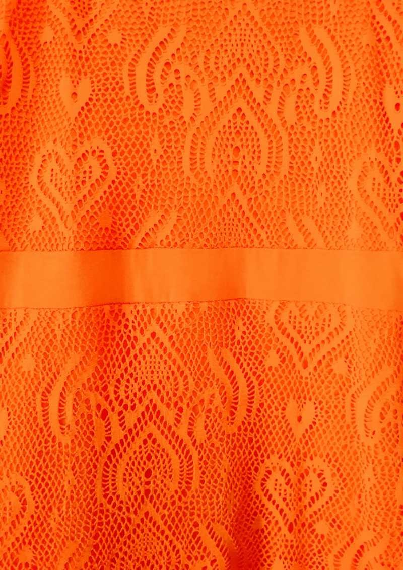 Plus Size Embroidered Lining Zipper Back Stretch Mesh Midi Dress
