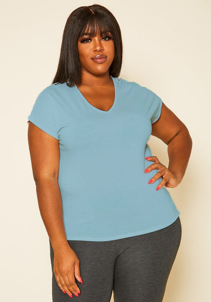 Hi Curvy Plus Size Embroidered V-Neck Top