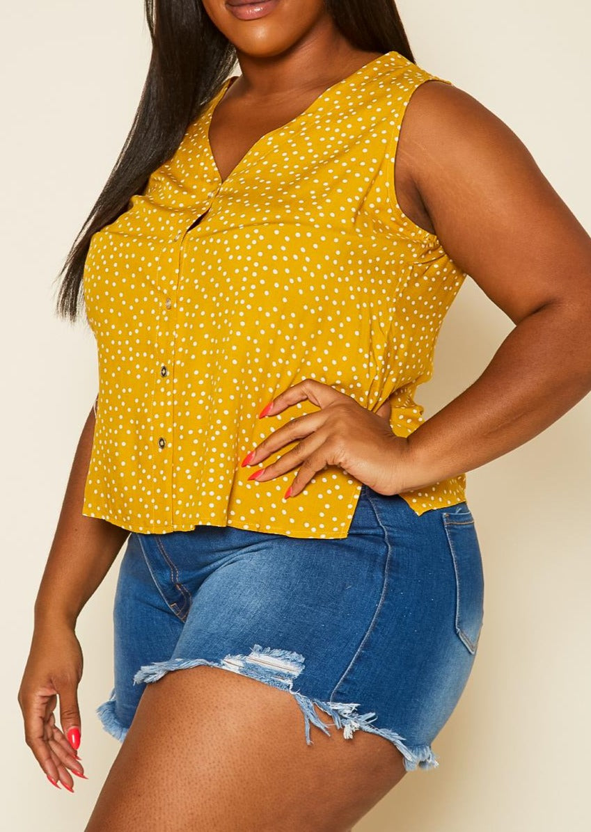 Hi Curvy Plus Size Polka Dot Top